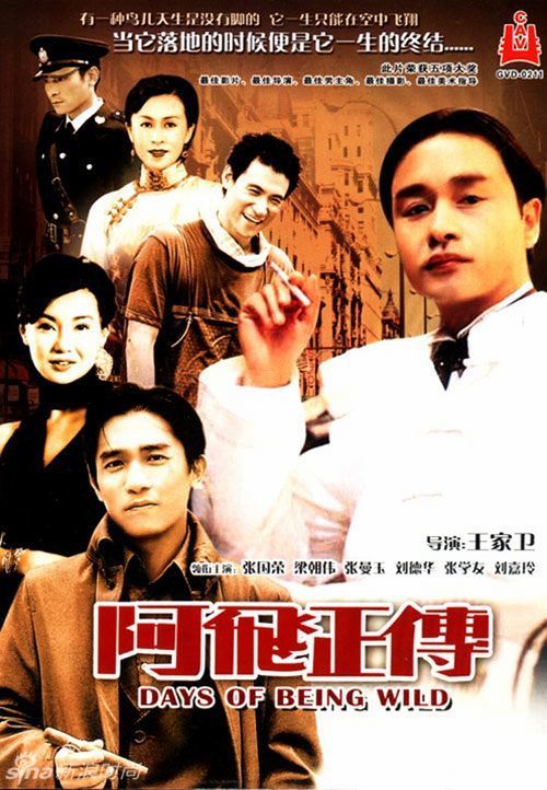 布雷西亚大学毕业证
